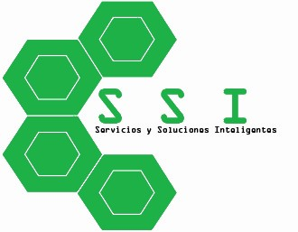 SOLINTESA — Servicios y Soluciones Inteligentes